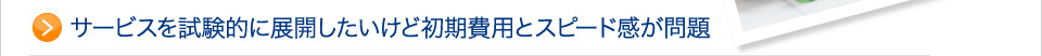 初期費用とスピード感が問題