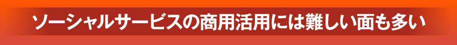 ソーシャルサービスの商用活用には難しい面も多い